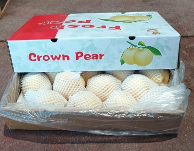 Foto Pere Nashi Calibro 16 Origine Cina Marchio Crown Pear 1